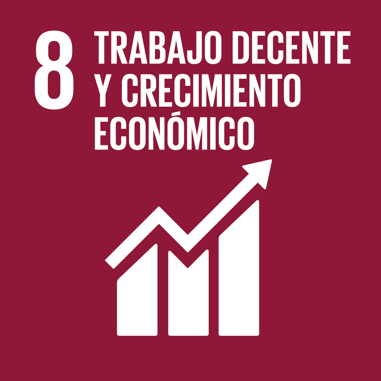 Objetivo 8