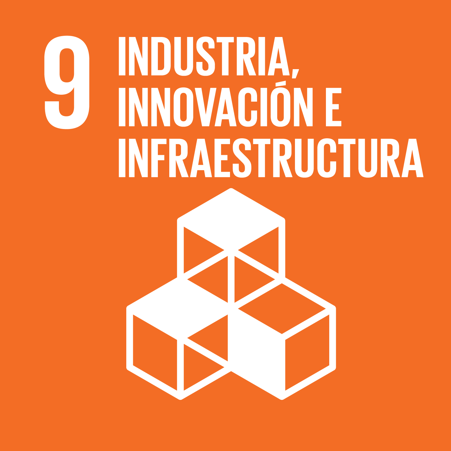 Objetivo 9