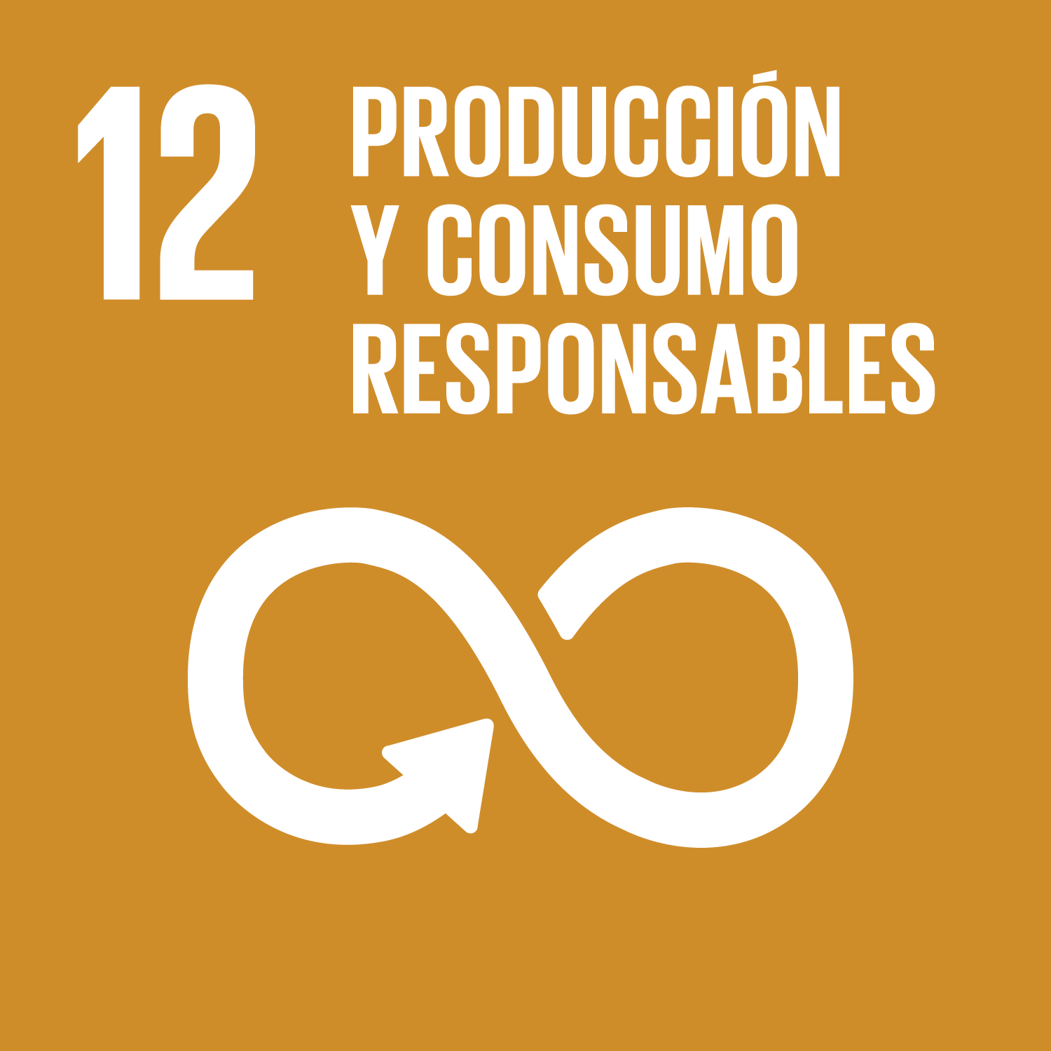 Objetivo 12